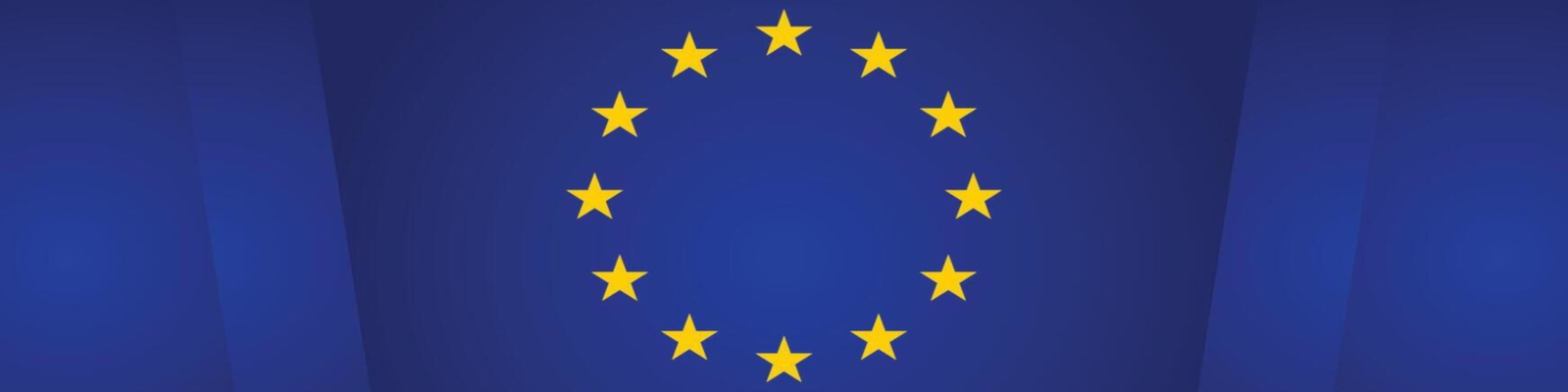Financé par l'Union européenne